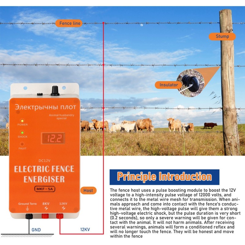 Smart Garden Fence - ABUI-EU Stekker 12V Slimme Waterdichte Elektrische
