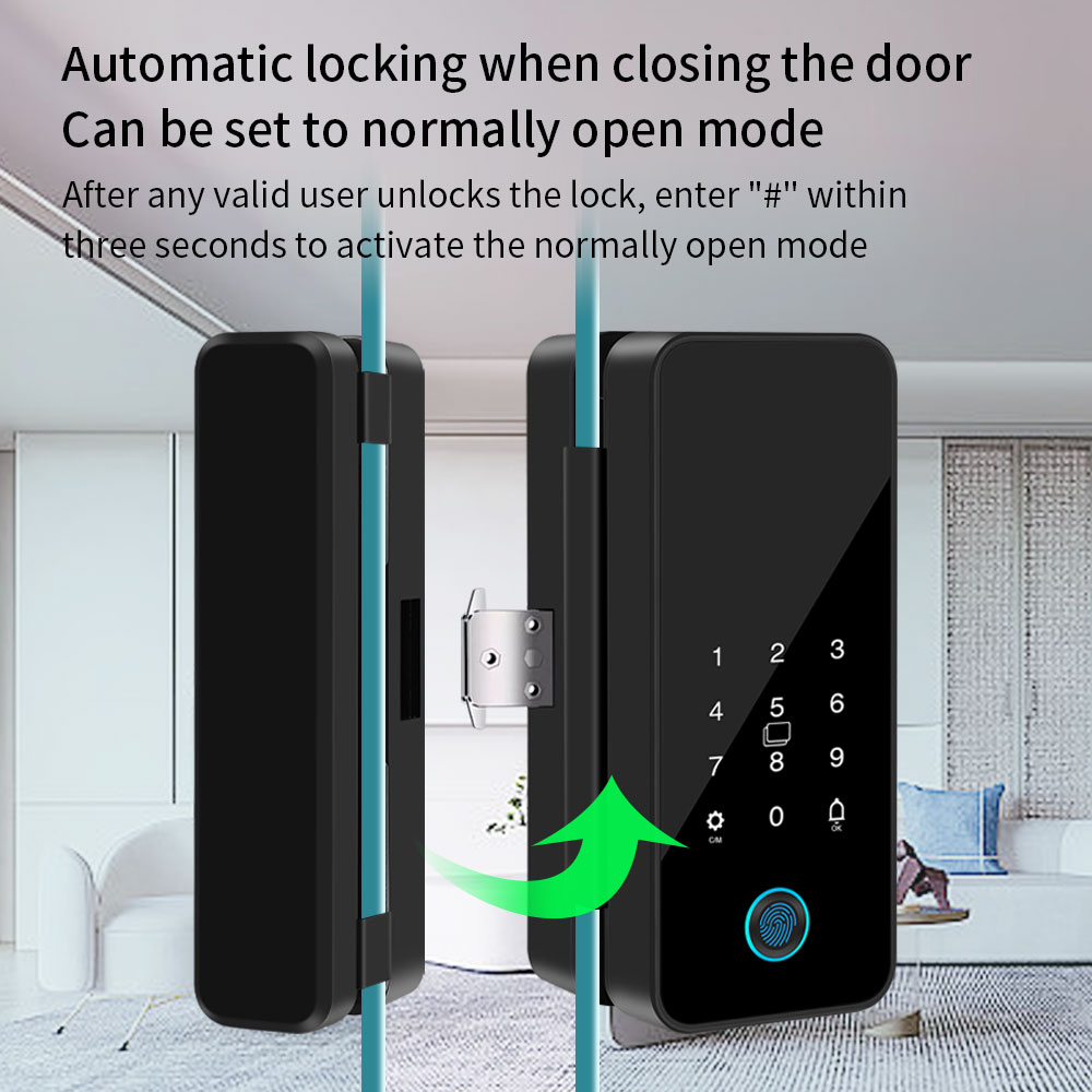 Tuya Smart Life Bluetooth glaz - Smart Garden Door Lock recensie en prijs