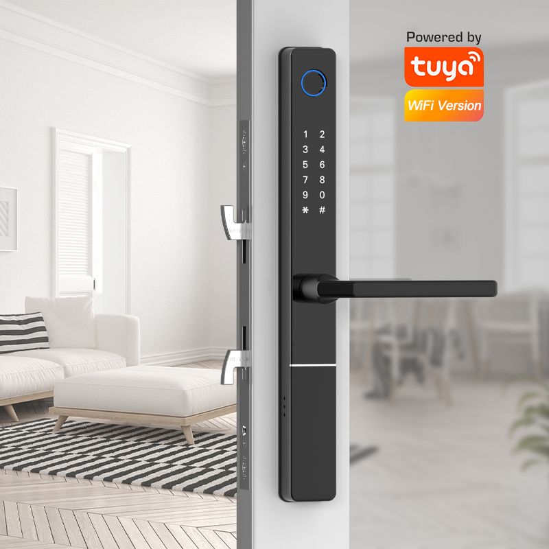 Euro 92/85/72mm Tuya wifi Smar - Smart Garden Door Lock recensie en prijs